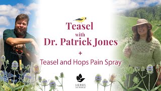 Teasel with Dr Patrick Jones  Teasel and Hops Pain Spray [upl. by Trebbor910]