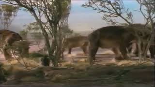 Once Upon Australia 1995  Diprotodon Screen Time [upl. by Nakashima]