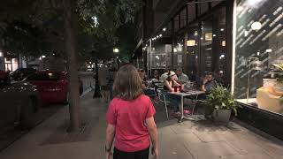 Oak Park Pleasant Districy Nightwalk  HDR  4k  DJI OSMO Pocket 3 [upl. by Hgielime]