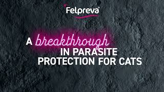 Felpreva®  easier parasite protection for your cat [upl. by Issak]