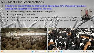 APES  57  Meat Production Methods [upl. by Nayllij676]