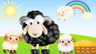 Baa Baa Black Sheep｜ Educational Rhyme For Kids｜Kids Song ｜Learn Colors [upl. by Nnairek739]