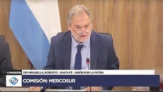 COMISIÓN COMPLETA MERCOSUR  20 de noviembre de 2024  INVITADOS  Diputados Argentina [upl. by Alidus671]