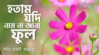 Hotam Jodi Nam Na Jana Ful Gojol Lyrics  হতাম যদি নাম না জানা ফুল  হুরাই জান্নাত [upl. by Shayn920]