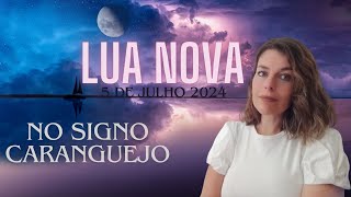 LUA NOVA NO SIGNO CARANGUEJO I MOMENTO CHAVE DO ANO PARA COCRIAR luanova cancer astrologia [upl. by Kolivas]