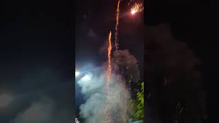 35 Sony fireworks skyshots with standard crackers phataka fireworksdisplay shorts indian [upl. by Doretta]