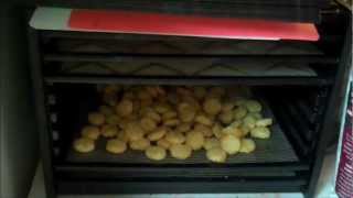 BexarPreppers QampA and Dehydrated Tator Tots [upl. by Llenna]