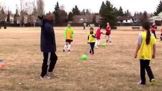 Coaching Demo 3 styles Authoritative [upl. by Josias]