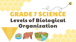 Levels of Biological Organization  Grade 7 Science DepEd MELC Quarter 2 Module 3 [upl. by Anselmo]