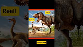 Dinosaurs Had Feathers😱Fact Faver dinosaur facts shorts [upl. by Hairom]