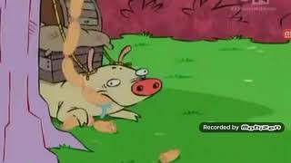 ED EDD N EDDY ROLF VS WELFRED THE PIG [upl. by Casady]