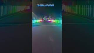 Calgary Zoo Lights [upl. by Jordans]