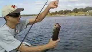 Fish Pro Dave Bass Fishing  Benderson lake SarasotaFL [upl. by Niltyak127]