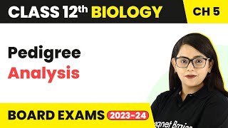 Class 12 Biology Ch5  Pedigree Analysis  Principles of Inheritance amp Variation CBSENEET 202223 [upl. by Cornell]