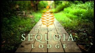 Disneyland Paris  Sequoia Lodge Hotel SONGS [upl. by Klehm]