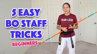 Easy Bo Staff Tricks for Beginners  Taekwondo Karate Martial Arts [upl. by Cadman]