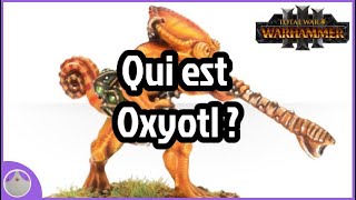 Oxyotl  Lore et spéculation Total War Warhammer 3 FR [upl. by Eesac]