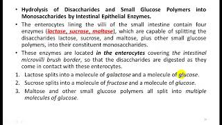 Digestion and Absorption in the Gastrointestinal Tract 4 محاضرة فسلجة الجهاز الهضمي [upl. by Naejarual663]