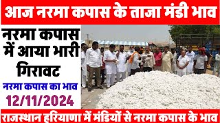 नरमा कपास के भाव 12 Nov 2024 आज नरमा कपास में आया भारी गिरावट Narma kapas ka bhav cotton Prices [upl. by Nevai]