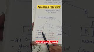 Adrenergic receptors shorts physiology nervous system CNS [upl. by Susy808]