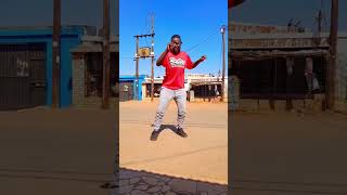 Sdakiwe sbali🥰🥰 amapianomix2022latestsongs amapianodance dance amapiano dancemoves amapiano [upl. by Aloise]