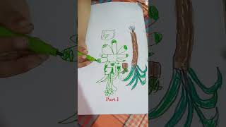 shortvideodrawingcoloring colo [upl. by Conchita]