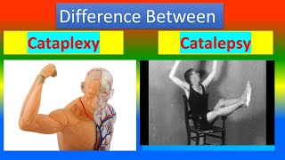 Difference between Cataplexy and Catalepsy [upl. by Zoie]