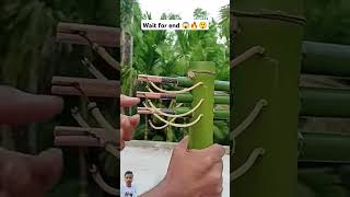 Wait for end 😱🔥😲 bamboo diy toys satisfying slingshots automobile mrbeasthindi comedyfilms [upl. by Avat]