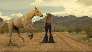 Lainey Wilson  Wildflowers and Wild Horses Official Music Video [upl. by Bohrer]