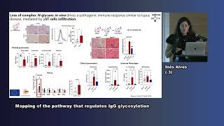 Dr Inês Alves  GlycanSwitch as a key mechanism inthe loss of selftolerance [upl. by Gwyn578]