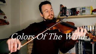 Colors Of The Wind Pocahontas  Violin Cover [upl. by Ray]