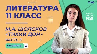 Гражданская война на страницах романа МА Шолохова «Тихий Дон» Видеоурок 31 Литература [upl. by Erehs]