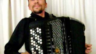 Best Waltzes of STRAUSS  accordion amp band [upl. by Eniawd]