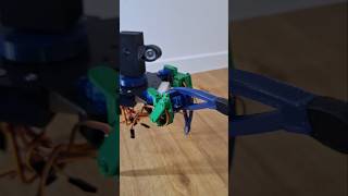 Watch my Spider Robot coming to Life 🕷👾 [upl. by Aylsworth]