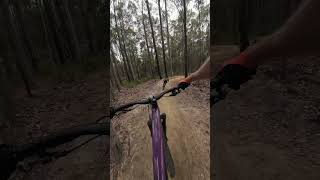 Nowra Now Has Rad MTB Jumps Funnel Web Trail at Superbowl [upl. by Kaleena]