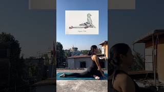 Yoga inspired by animals 🧘‍♀️yoga yogapractice yogainspiration shorts shortsfeed youtube [upl. by Elizabet]