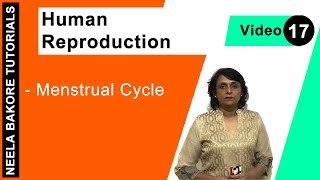 Human Reproduction  NEET  Menstrual Cycle  Neela Bakore Tutorials [upl. by Tice817]