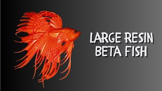 Large Resin Betafish [upl. by Gian]