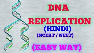 DNA REPLICATION HINDI EASY WAY  NCERT [upl. by Hamrnand]