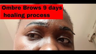 Ombre brows 9 days healing process ukombrebrows ombrebrows [upl. by Manwell66]