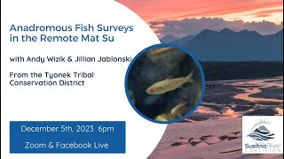 Anadromous Fish Surveys in the Remote MatSu with Andy Wizik and Jillian Jablonski [upl. by Sissel]