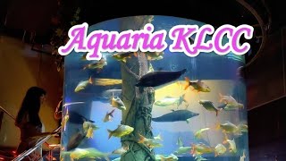 Aquaria KLCC Fishes 🐠🐟🐡🦈🦦 Acquarium 2024 in Kuala LumpurMalaysia 🇲🇾 [upl. by Rafat]