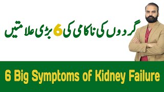 6 Big Symptoms of Kidney Failure in UrduHindi [upl. by Odranoel65]