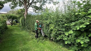 Trimming Loads Of OVERGROWN HEDGES On This Property [upl. by Joella483]