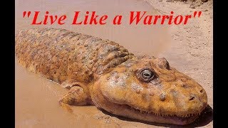 Prehistoric Amphibians  quotLive Like a Warriorquot [upl. by Askari]