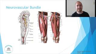 Osteopathic Considerations Hip Internal Rotation [upl. by Tiler]