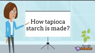 Tapioca starch manufacturing process tapioca cassava starch animation [upl. by Mahsih]