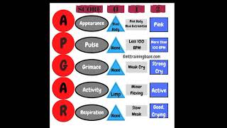 समझे APGAR SCORE हिंदी मेंAPGAR Score ANMNursinglets study by Sandhyanursing [upl. by Neila]