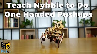 Beginners Guide Teaching Nybble the Quadruped Robot Cat Visual OneHanded PushUps  Petoi [upl. by Barstow]