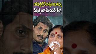 కొడుకు కోసం విజయమ్మ ఏడుస్తూ  Vijayamma Emotional Pray for Her Son YS Jagan  Cine Megham [upl. by Kittie186]